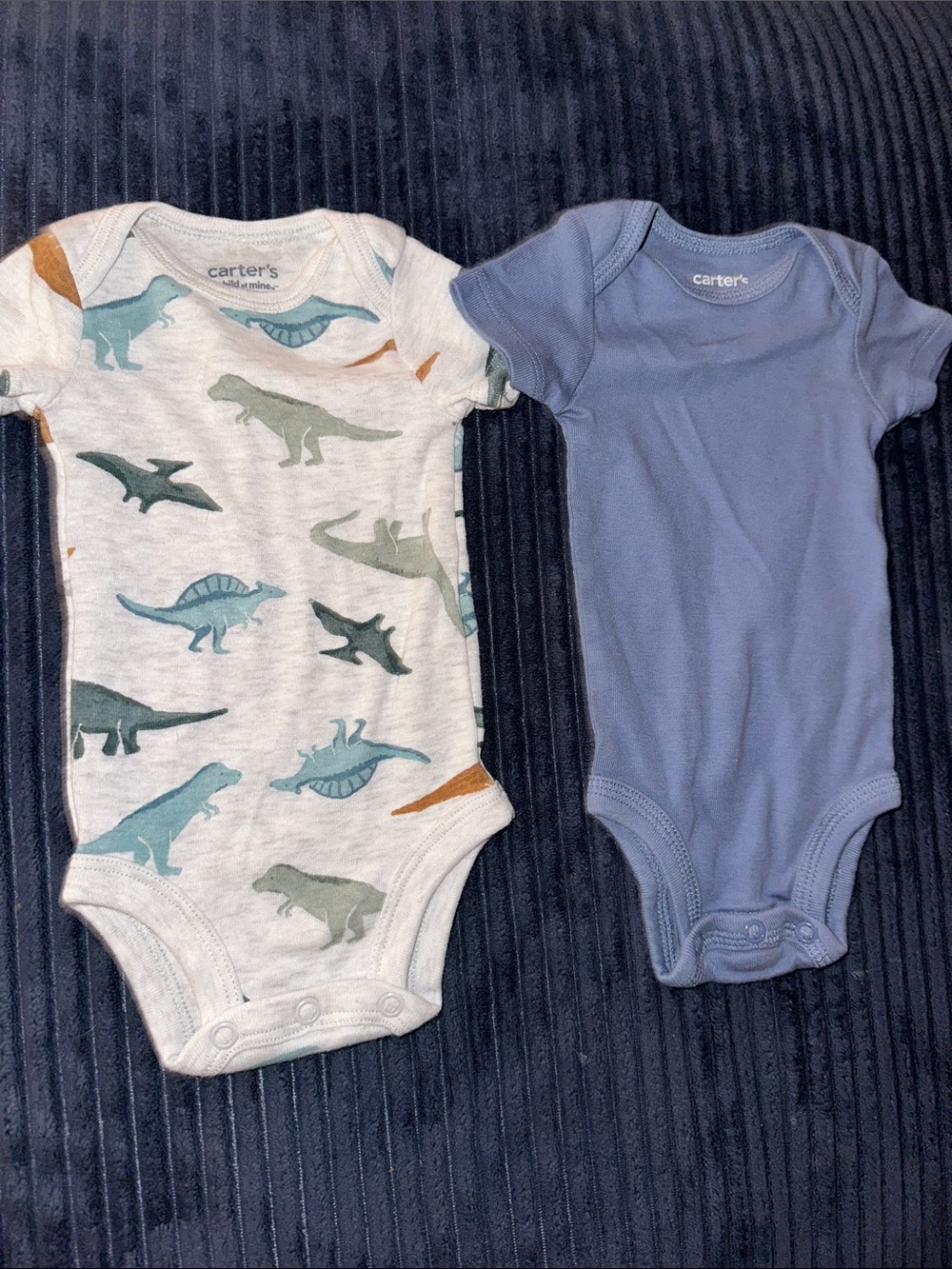 Carter's Blue Dinosaur & Solid Blue Baby One-Piece Set